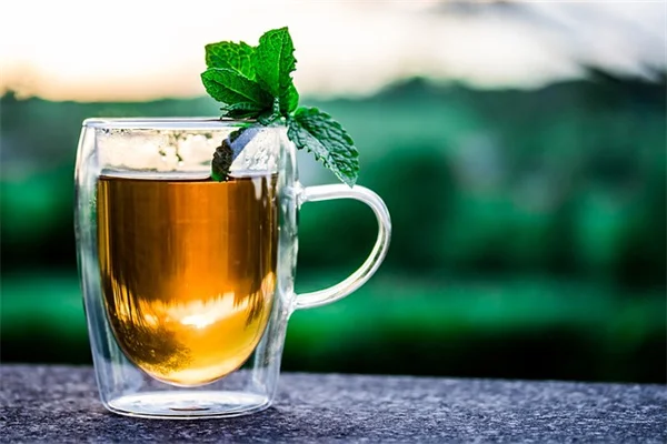 How to Grow an Edible Hedge That Feeds You